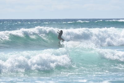 DSC_2766.JPG