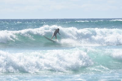 DSC_2767.JPG