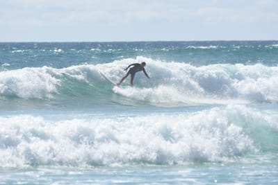 DSC_2768.JPG