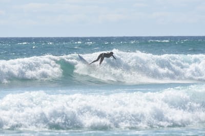 DSC_2769.JPG