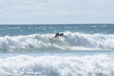 DSC_2770.JPG