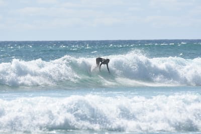 DSC_2771.JPG