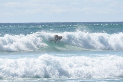 DSC_2772.JPG