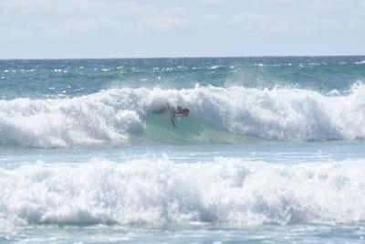DSC_2773.JPG