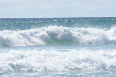DSC_2774.JPG