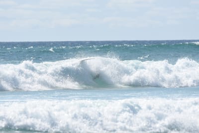 DSC_2775.JPG