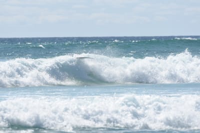 DSC_2776.JPG