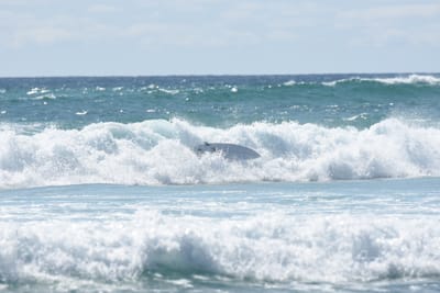DSC_2777.JPG