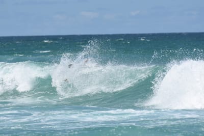 DSC_2873.JPG