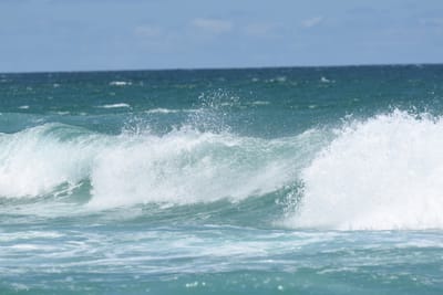 DSC_2874.JPG