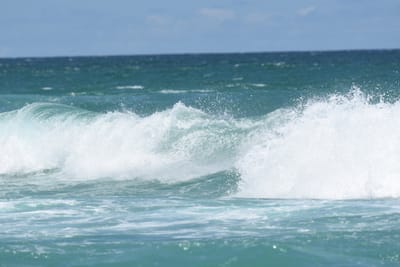 DSC_2875.JPG