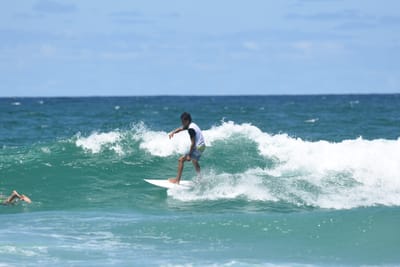 DSC_2919.JPG