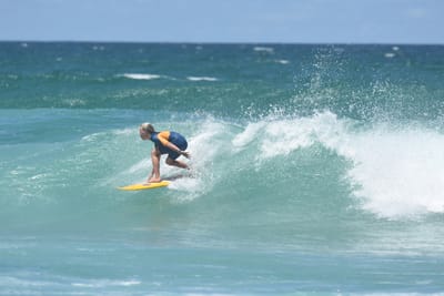 DSC_3155.JPG