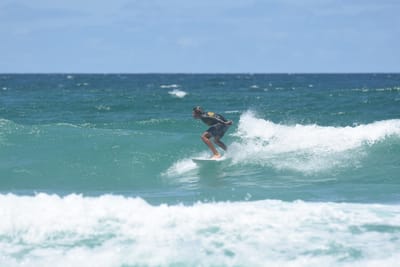DSC_3172.JPG