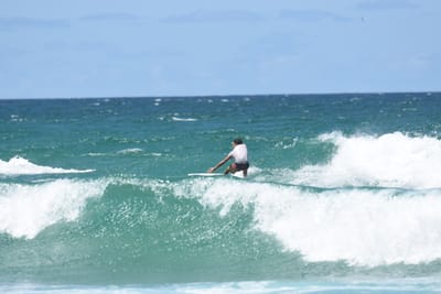 DSC_3210.JPG