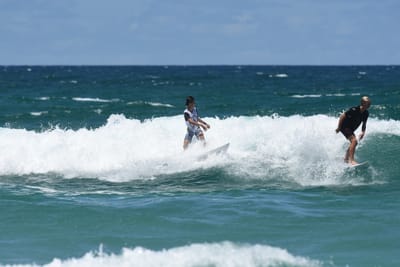 DSC_3217.JPG
