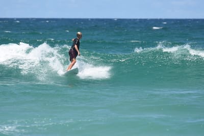DSC_3219.JPG