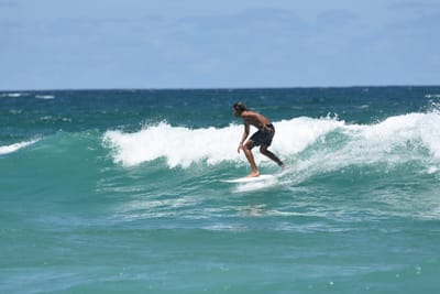 DSC_3268.JPG