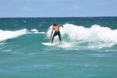 DSC_3270.JPG