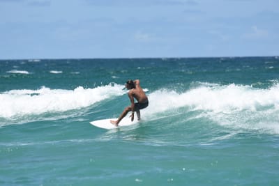 DSC_3271.JPG