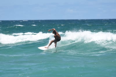 DSC_3272.JPG