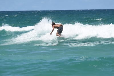 DSC_3279.JPG