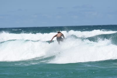 DSC_3296.JPG