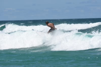 DSC_3298.JPG