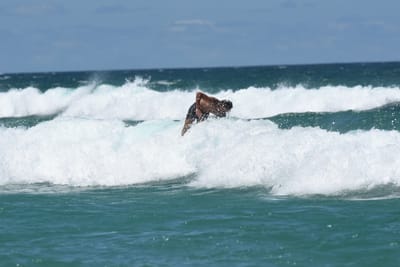 DSC_3303.JPG