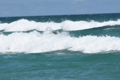 DSC_3305.JPG