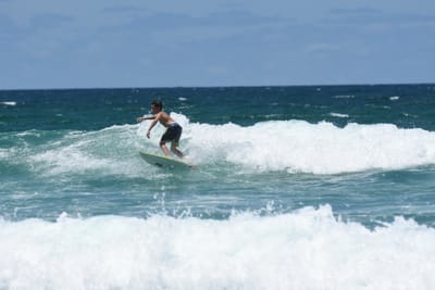 DSC_3308.JPG