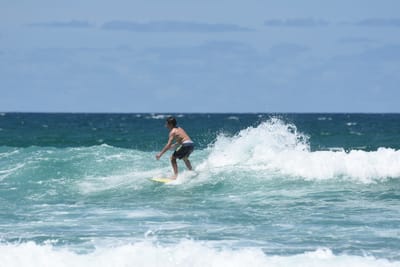 DSC_3311.JPG