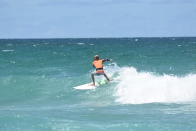 DSC_3342.JPG
