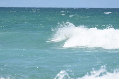 DSC_3356.JPG