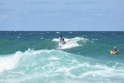 DSC_3366.JPG
