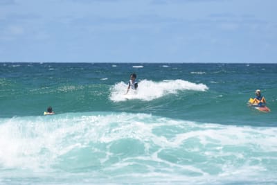 DSC_3367.JPG