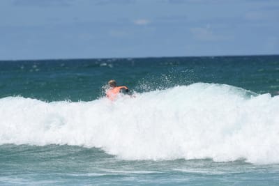DSC_3383.JPG