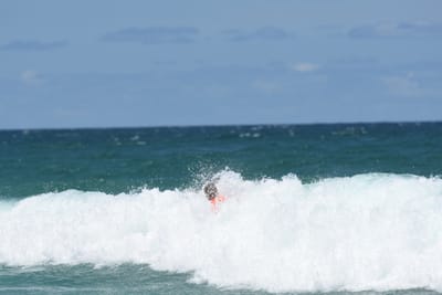 DSC_3384.JPG