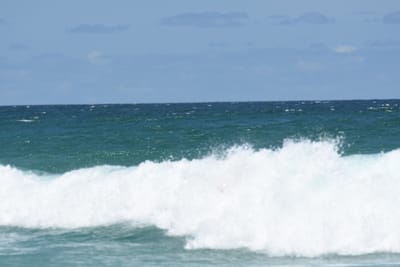 DSC_3385.JPG