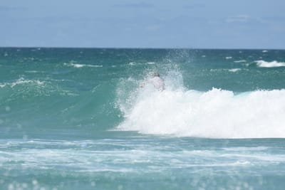 DSC_3409.JPG
