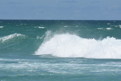 DSC_3411.JPG