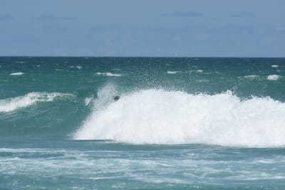 DSC_3412.JPG