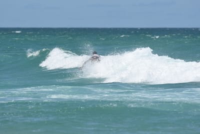 DSC_3416.JPG