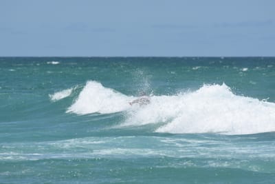 DSC_3417.JPG