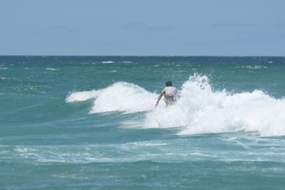 DSC_3419.JPG
