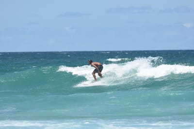 DSC_3444.JPG
