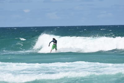 DSC_3462.JPG