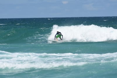 DSC_3463.JPG