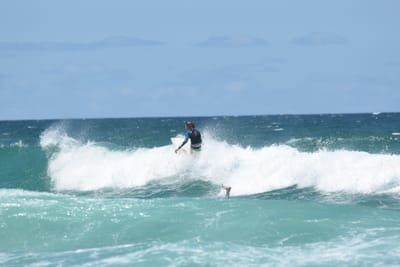 DSC_3473.JPG