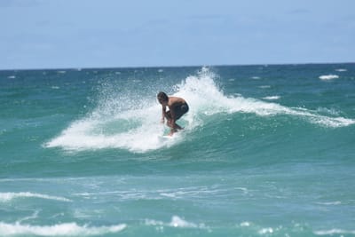 DSC_3501.JPG